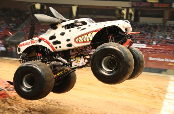 Monster Mutt Dalmation Monster Mutt Dalmation