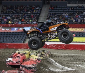monster mutt rottweiler monster mutt rottweiler